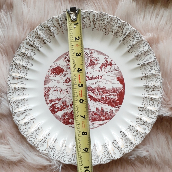 VTG Scenic South Dakota Souvenir Decorative Plate - Picture 8 of 8